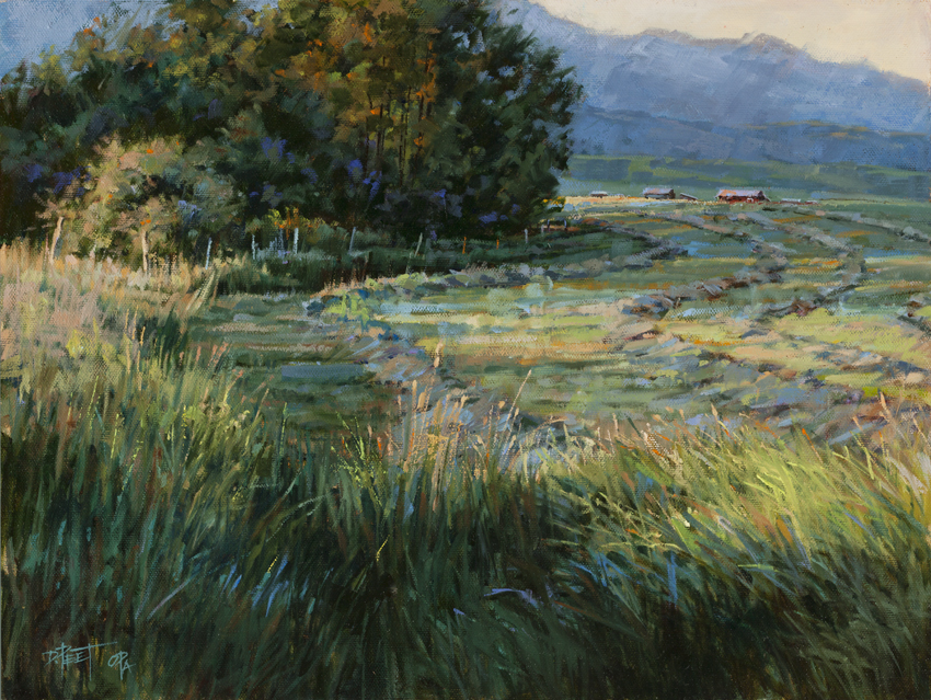 Sunrise Hay Meadow  12 x 16 Oil
