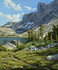 A Summer for Scarlet Paintbrush  20 x 16