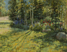 Aspen Shadows and Poppies  11 x 14 Oil