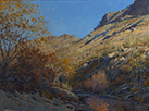 Autumn Canyon Glow  18 x 24 Oil