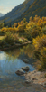 Autumn Reflections  24 x 12 Oil