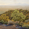 Baboquivari Haze and Desert Bluebells  20 x 20 Oil