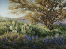 Bounty of Desert Rain  18 x 24 Oil