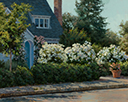 Bungalows and White Roses  16 x 20 Oil