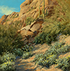 Canyon Brittlebush  10 x 10 Oil