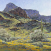 Carpet of Sunshine - Picacho Peak  Acrylic