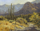 Catalina Trail  Oil
