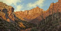 Climbing Sabino Shadows  12 x 24 Oil