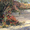 Courtyard of Scarlet - AZ Desert Museum  Acrylic