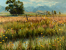 Daisies and Wildflowers Wisps  18 x 24 Oil