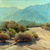 Desert Sparkle Tipped in Fairy Duster  24 x 24 Oil