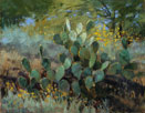 Desert Spring 11 x 14 Oil