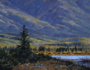 Dusk Daisies - Vermilion Lakes - Banff 7 x 9 Oil