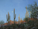Early Desert Moon - Sabino Canyon  11 x 14 Oil