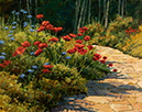 Edged in Bachelor Buttons and Poppies  16 x 20 Oil
