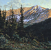 Enveloped in Evening 16 x 16 Oil