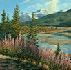 Fall Fireweed Fluffs 12 x 12 Oil