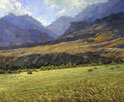 First Cutting 20 x 24 Oil