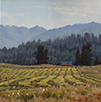 First Cutting Below the Missions  12 x 12 Oil