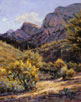 First Signs of Desert Spring 14 x 11 Oil
