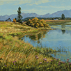  Flathead Hay Meadows and Thistles 12 x 12 Oil