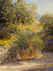Pots and Primrose 24 x 18 Oil