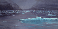 Getting Cold Feet-May in Alaska 12 x 24 Oil