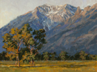 Glow Across Morning Pastures  9 x 12 Oil