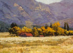 Going to Seed - Montana Meadow 22 X 30 Oil 