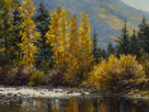 Gore Creek Glitter  18 x 24 Oil