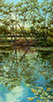Guadalupe River Lilies  24 x 12 Oil