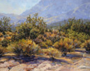 Hazy Desert Dawn  16 x 20 Oil - Salon International