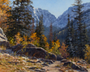 High Autumn Trail  24 x 30 Oil