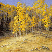 Inlaid in Autumn (Piney Lake Trail) 20 x 20 Oil