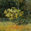 Little Sunshine-Texas Hill Country  12 x 12 Oil