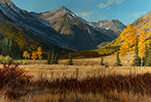 Long Autumn Shadows  24 x 36 Oil