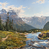 Lost Clouds and Wildflowers 30 x 30 Oil