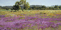 Meadow Magenta 12 x 24 Oil