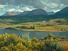 Monsoons, Chamisa and Sage 30 x 40 Oil