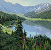 Morning Fresh Sprinkled in Wildflowers  16 x 16 Oil