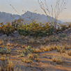Ocotillo Patterns 14 x 14 Oil