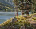 Old Fishing Trail #1 8 x 10 Oil
