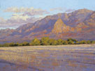 Sunset Fields-Santa Cruz Valley  Acrylic