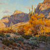 Palo Verde Glow 24 x 24 Oil