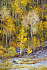 Patchwork in Aspen 36 x24 Oil