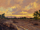 Patterns - After a Desert Rain 18 x 24 Oil