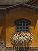 Pepi's Bouquet - Vail, Colorado  16 x 12 Oil