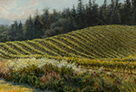 Poppies, Daisies and Pinot Noir  20 x 30 Oil