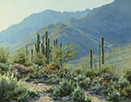 Radiant Desert Daybreak 11 x 14 Oil
