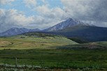 Ranch Roads and Daisies 18 x 24 Oil